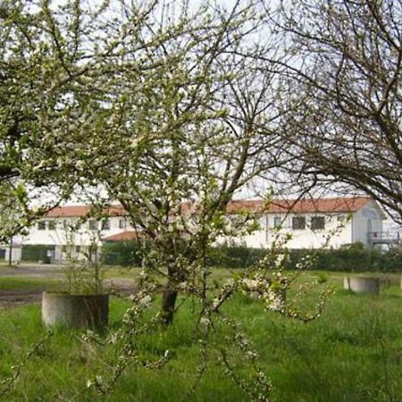 Hotel Lory Ficarolo Bagian luar foto