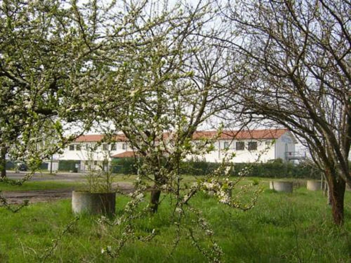 Hotel Lory Ficarolo Bagian luar foto